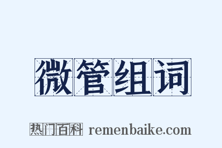 微管组词是什么意思的图片